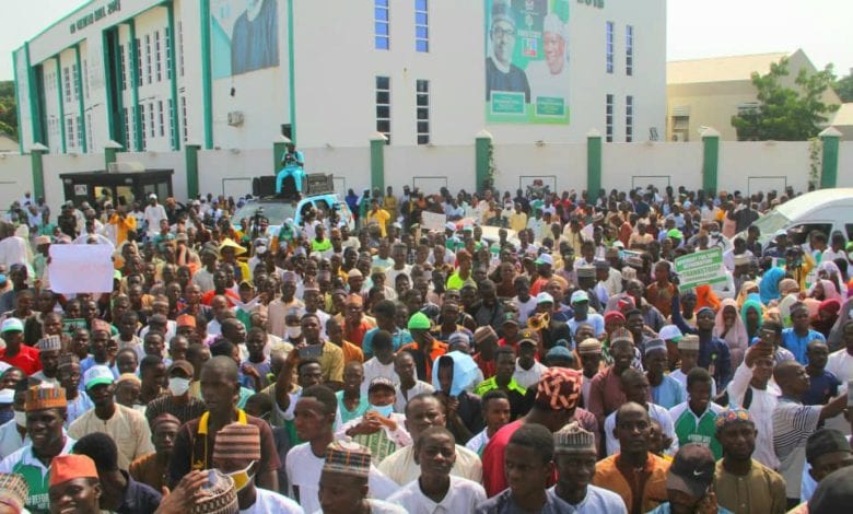 KAno 1 | ThisNigeria