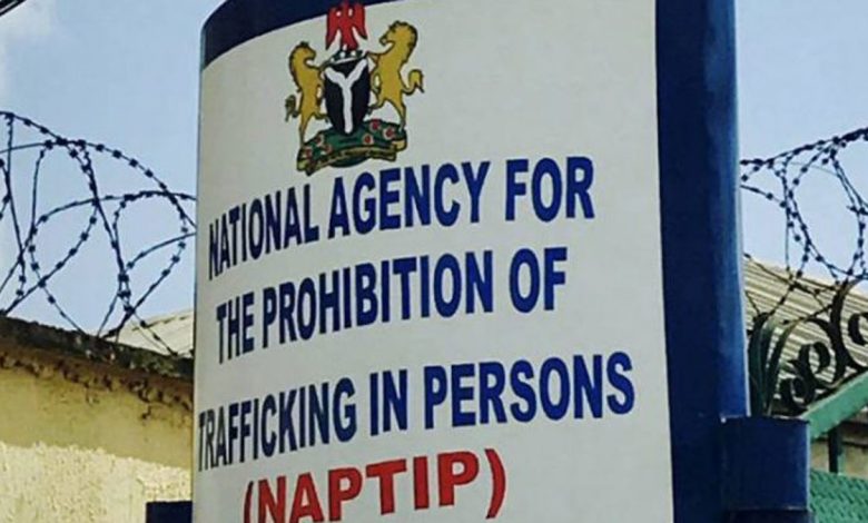 NAPTIP-1-1 | ThisNigeria