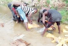 Inside Abuja’s abattoirs