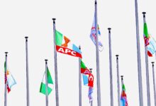 APC FLAG